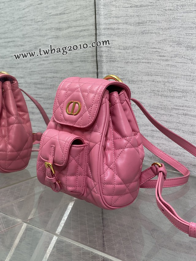 Dior专柜新款迪奥高仿原单枚粉Caro秋冬系列小号双肩包 djfk1246